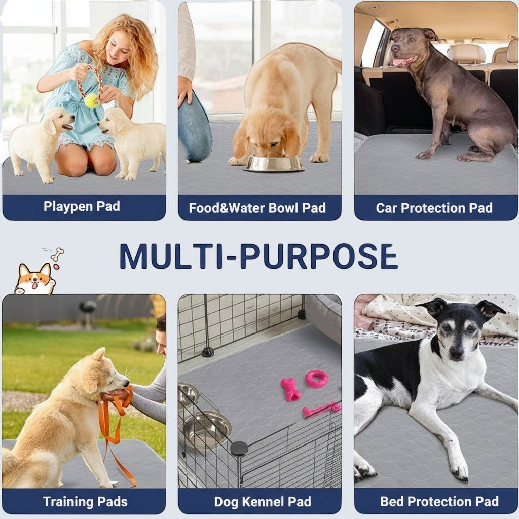 My Store 2 reusable puppy training pads in a multi-purpose collage showing use in playpens, cars, and kennels.